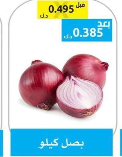  Onion  in Ministry Of Defense Consumer Association Co-operative Society in Kuwait - Kuwait City