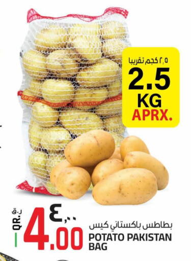  Potato  in السعودية in قطر - الشمال