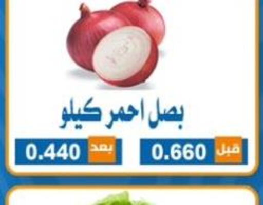  Onion  in Alshuhada co.op in Kuwait - Ahmadi Governorate