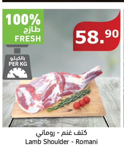  Mutton / Lamb  in الراية in مملكة العربية السعودية, السعودية, سعودية - ينبع