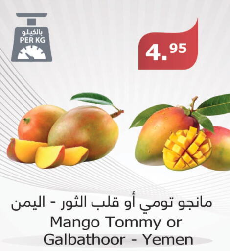 Mango   in الراية in مملكة العربية السعودية, السعودية, سعودية - بيشة