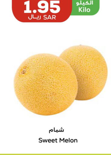  Sweet melon  in أسواق أسترا in مملكة العربية السعودية, السعودية, سعودية - تبوك