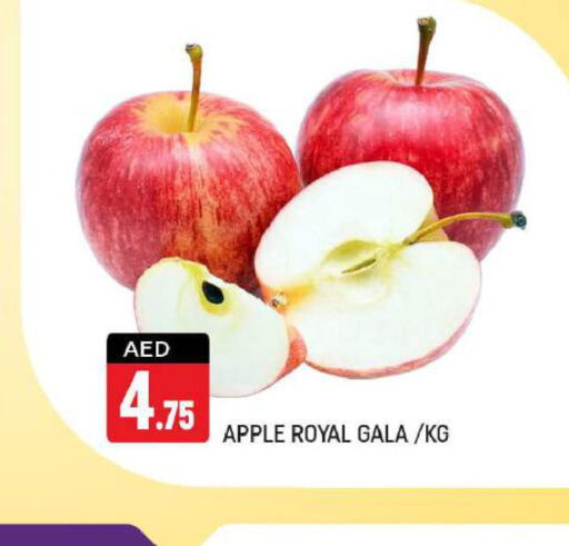  Apples  in شكلان ماركت in الإمارات العربية المتحدة , الامارات - دبي