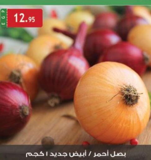  Onion  in الرايه  ماركت in Egypt - القاهرة
