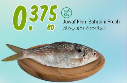  King Fish  in مركز سلطان in البحرين
