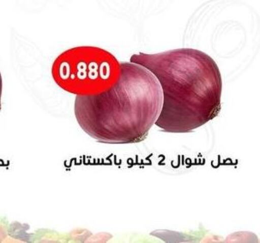  Onion  in Sabah Al-Ahmad Cooperative Society in Kuwait - Kuwait City