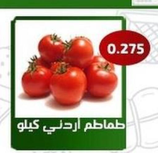  Tomato  in جمعية فحيحيل التعاونية in الكويت - محافظة الجهراء