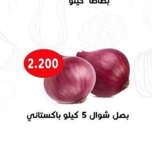  Onion  in جمعية مدينة صباح الأحمد التعاونية in الكويت - مدينة الكويت