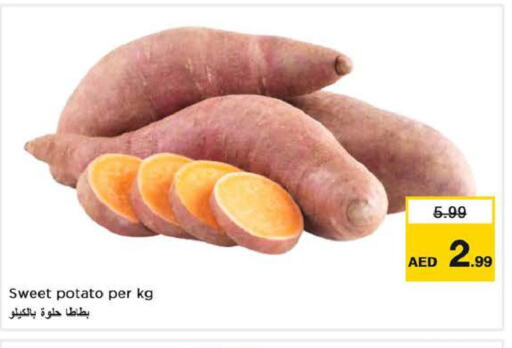  Sweet Potato  in Last Chance  in UAE - Fujairah