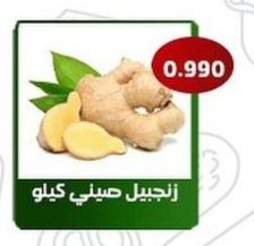  Ginger  in جمعية فحيحيل التعاونية in الكويت - محافظة الأحمدي