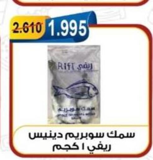  Tuna  in Egaila Cooperative Society in Kuwait - Ahmadi Governorate