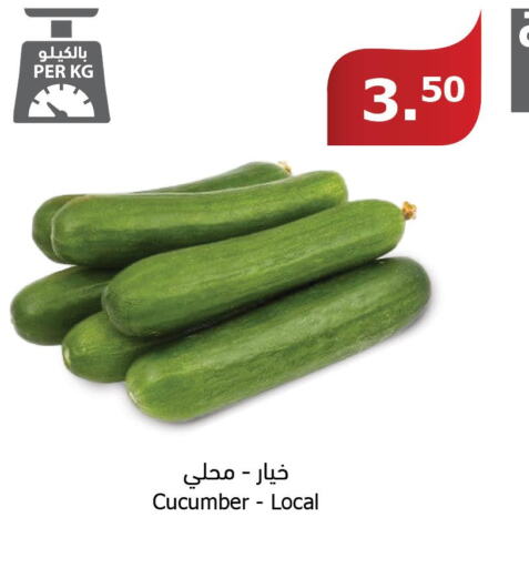  Cucumber  in Al Raya in KSA, Saudi Arabia, Saudi - Al Bahah