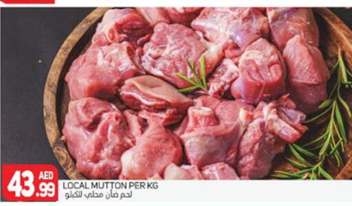  Mutton / Lamb  in Palm Centre LLC in UAE - Sharjah / Ajman