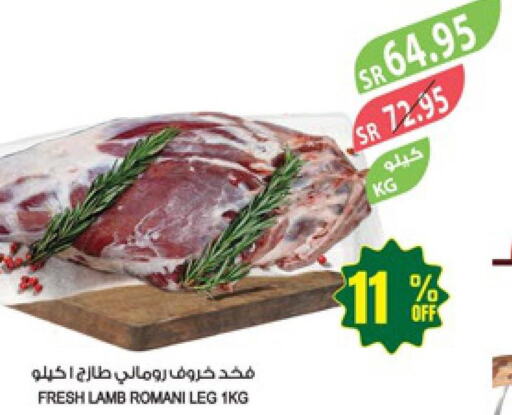  Mutton / Lamb  in Farm  in KSA, Saudi Arabia, Saudi - Yanbu