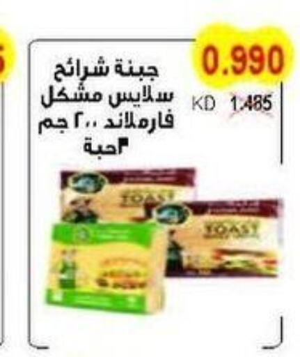  Slice Cheese  in جمعية سلوى التعاونية in الكويت - مدينة الكويت