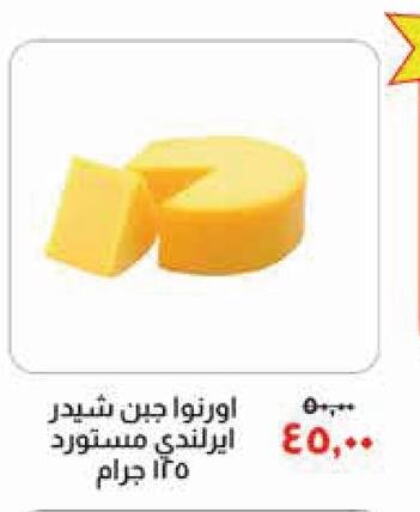  Cheddar Cheese  in Kheir Zaman  in Egypt - Cairo