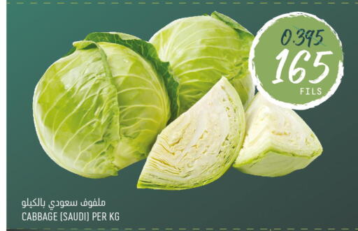  Cabbage  in Oncost in Kuwait