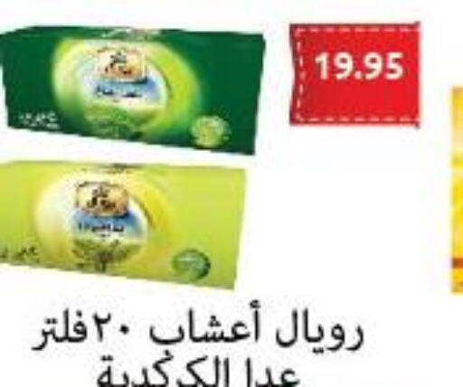  Tea Powder  in Hyper El Hawary in Egypt - Cairo