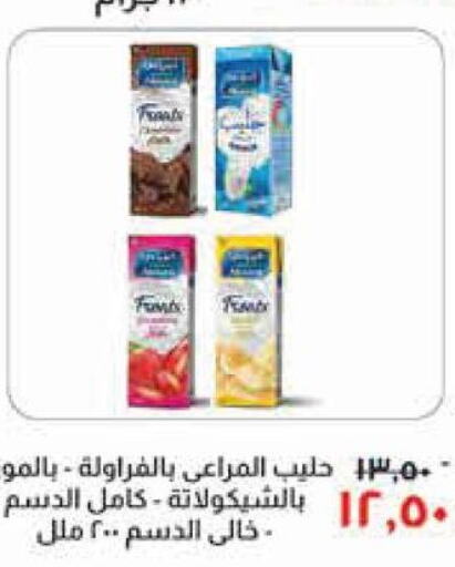 ALMARAI Flavoured Milk  in Kheir Zaman  in Egypt - Cairo
