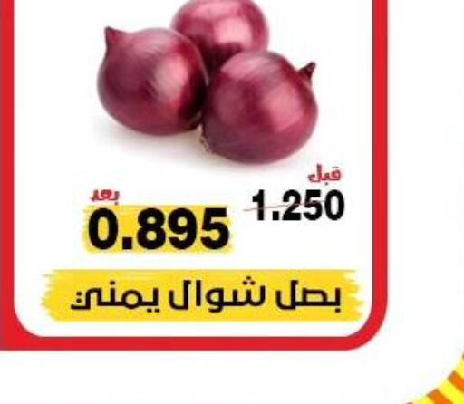  Onion  in جمعية النزهة التعاونية in الكويت - مدينة الكويت