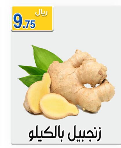  Ginger  in Jawharat Almajd in KSA, Saudi Arabia, Saudi - Abha