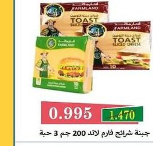  Slice Cheese  in جمعية البيان التعاونية in الكويت - مدينة الكويت