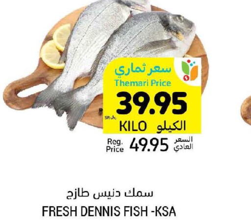  King Fish  in أسواق التميمي in مملكة العربية السعودية, السعودية, سعودية - الأحساء‎