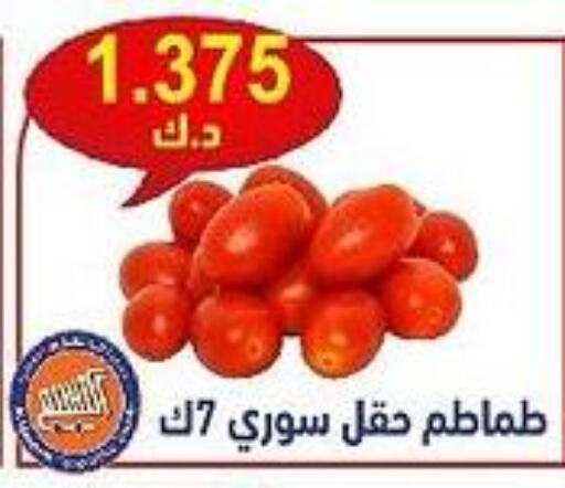  Tomato  in جمعية النسيم التعاونية in الكويت - محافظة الجهراء