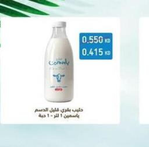 AL SAFI Long Life / UHT Milk  in جمعية البيان التعاونية in الكويت - مدينة الكويت