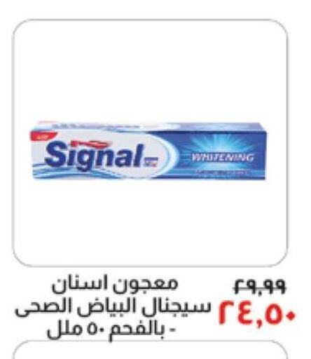 SIGNAL Toothpaste  in خير زمان in Egypt - القاهرة