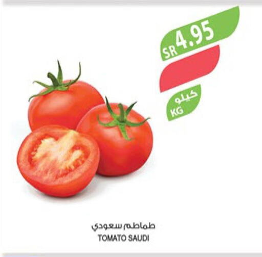  Tomato  in المزرعة in مملكة العربية السعودية, السعودية, سعودية - تبوك
