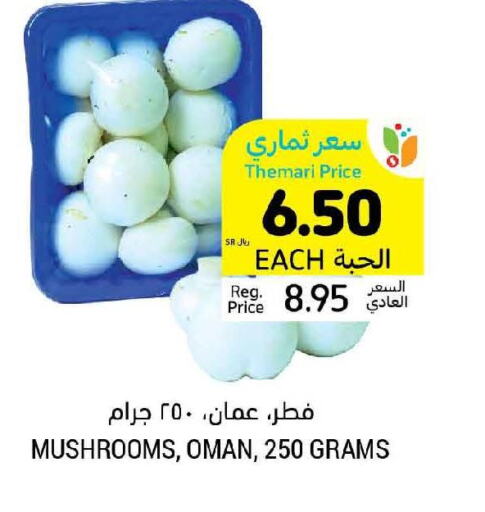  Mushroom  in أسواق التميمي in مملكة العربية السعودية, السعودية, سعودية - المدينة المنورة