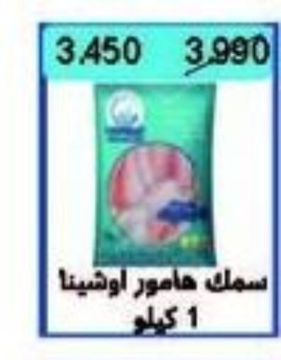  in جمعية سلوى التعاونية in الكويت - محافظة الأحمدي