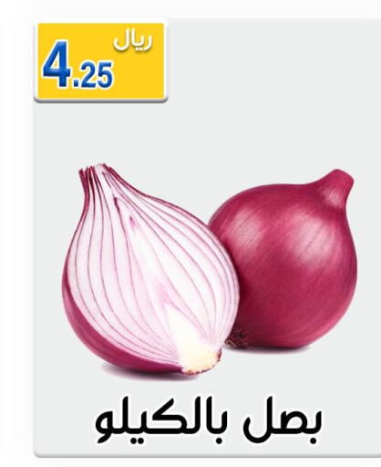  Onion  in Jawharat Almajd in KSA, Saudi Arabia, Saudi - Abha