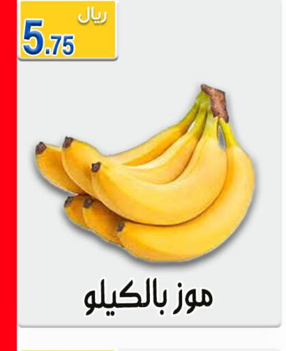  Banana  in جوهرة المجد in مملكة العربية السعودية, السعودية, سعودية - أبها
