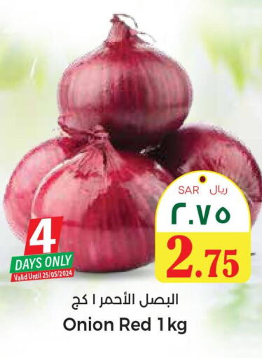  Onion  in ستي فلاور in مملكة العربية السعودية, السعودية, سعودية - الرياض