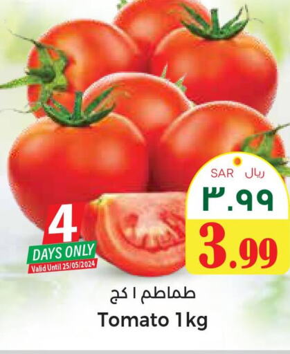  Tomato  in City Flower in KSA, Saudi Arabia, Saudi - Hail