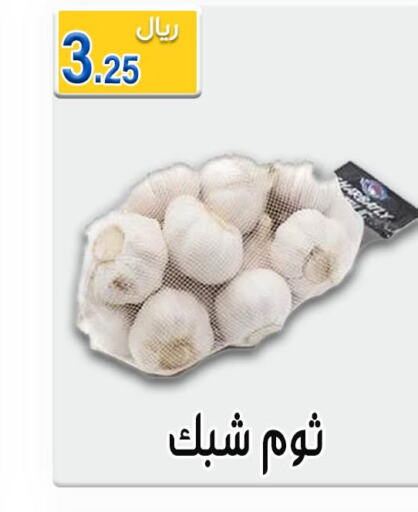  Garlic  in Jawharat Almajd in KSA, Saudi Arabia, Saudi - Abha