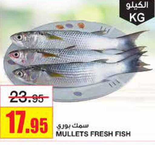  King Fish  in Al Sadhan Stores in KSA, Saudi Arabia, Saudi - Riyadh