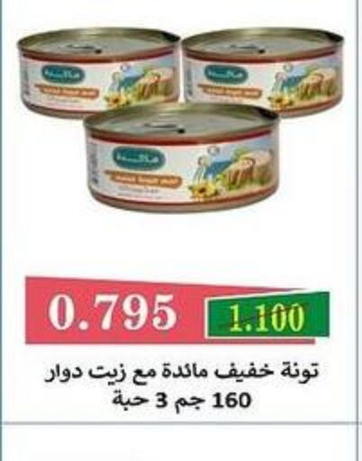  Tuna - Canned  in جمعية البيان التعاونية in الكويت - مدينة الكويت