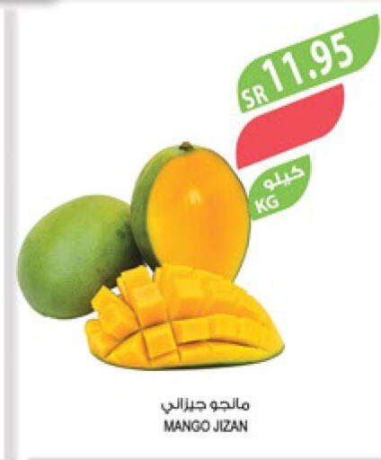  Peach  in المزرعة in مملكة العربية السعودية, السعودية, سعودية - نجران