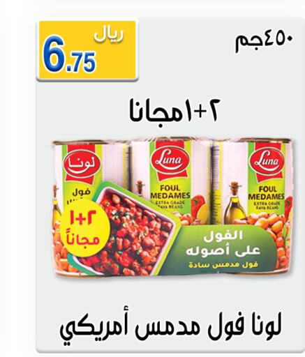 LUNA Fava Beans  in Jawharat Almajd in KSA, Saudi Arabia, Saudi - Abha