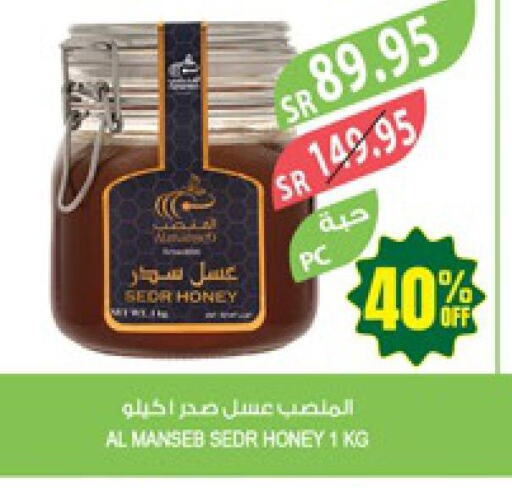  Honey  in Farm  in KSA, Saudi Arabia, Saudi - Qatif
