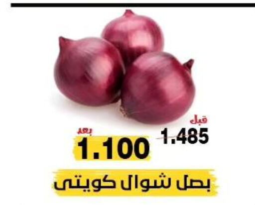  Onion  in جمعية النزهة التعاونية in الكويت - مدينة الكويت