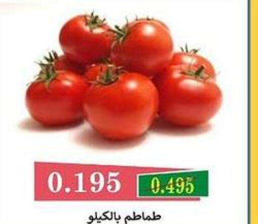  Tomato  in جمعية البيان التعاونية in الكويت - مدينة الكويت