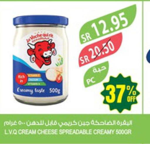 LAVACHQUIRIT Cream Cheese  in Farm  in KSA, Saudi Arabia, Saudi - Jazan