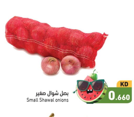  Onion  in Ramez in Kuwait - Ahmadi Governorate