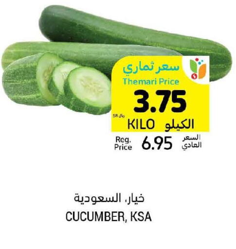  Cucumber  in Tamimi Market in KSA, Saudi Arabia, Saudi - Unayzah