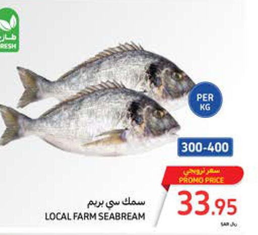  King Fish  in Carrefour in KSA, Saudi Arabia, Saudi - Al Khobar