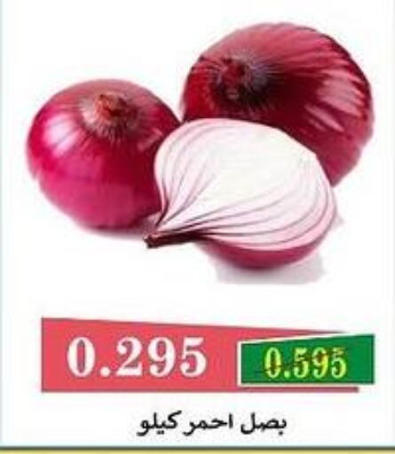  Onion  in Bayan Cooperative Society in Kuwait - Kuwait City